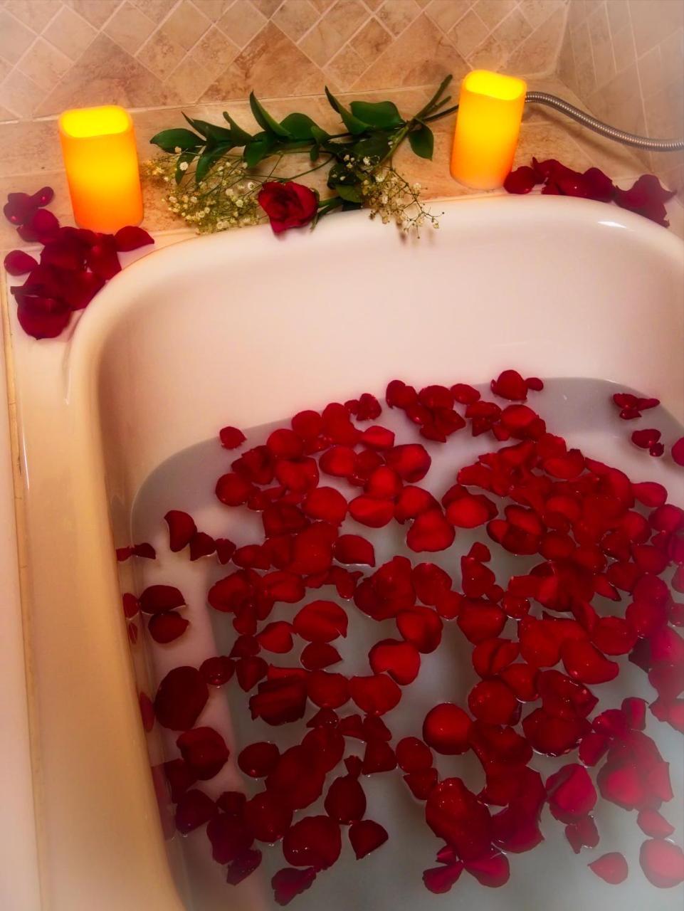 אשוויל The Lion And The Rose Bed And Breakfast מראה חיצוני תמונה